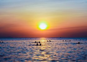 Sunrise Swim Club